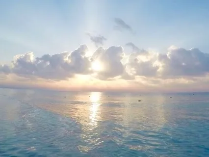 Morning Practice: Release, Ground & Set Intentions