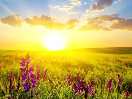 Morning Meditation: Remember The Miracle