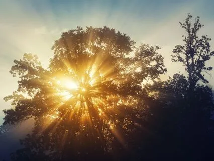 Morning Meditation: Rise Above Today’s Greatest Challenge