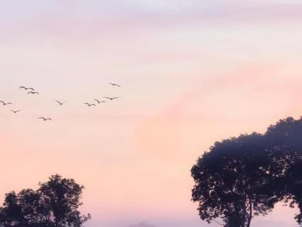 Morning Meditation | Setting An Intention For The Day