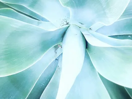 Soothing Morning Practice