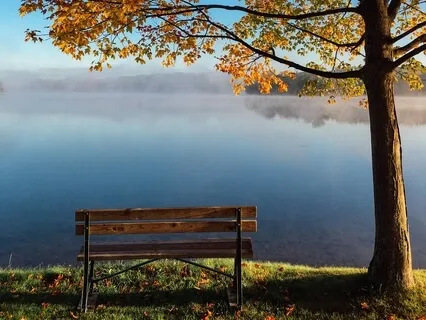 Morning Meditation- Start Your Day With An Intention