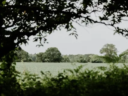 Morning Meditation | Starting The Day Calmly