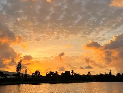 Morning Meditation: Stay Open To It All