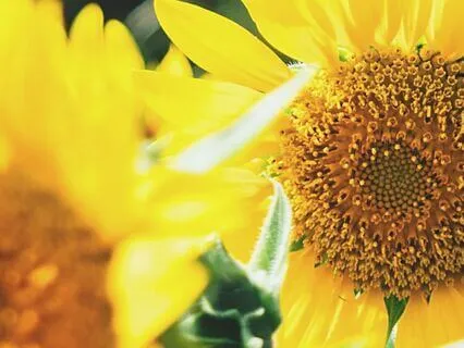 Morning Meditation To Build New Habits