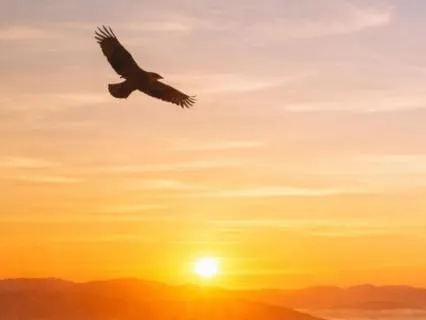 Morning Meditation To Calm Overthinking & Mental Loops