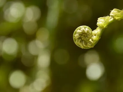 Morning Poem To Encourage And Nourish