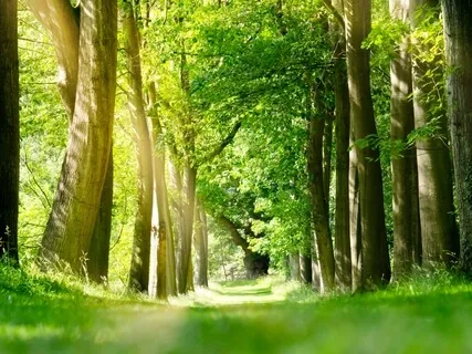 Morning Meditation To Ground Your Energy