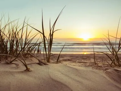 Morning Meditation To Manifest Your Day