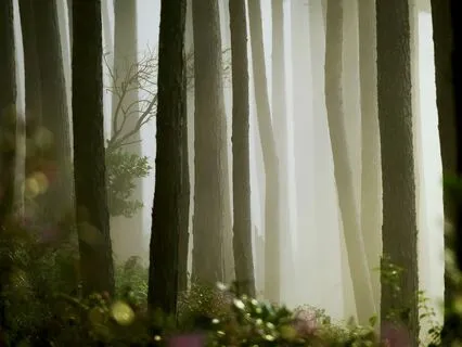 Morning Meditation To Mindfully Awaken To Your Day