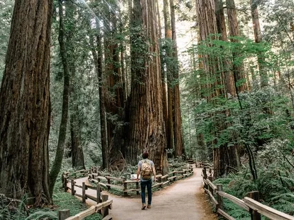 Surrender To The Wholeness