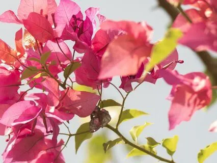 Morning Meditation To Reset Your Mind