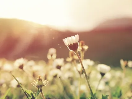 Morning Meditation To Set The Day