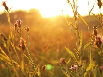 Morning Meditation To Set Your Intention