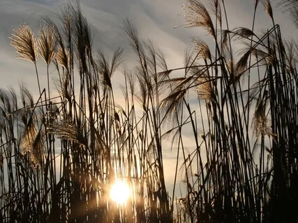 Morning Meditation To Start Your Day In An Energized Way