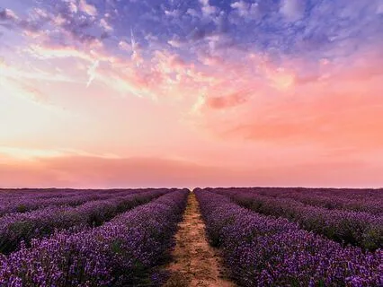 Morning Meditation To Summon A Good Day