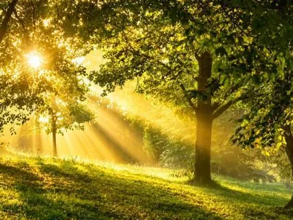 Morning Meditation: To Wake Up Mindfully