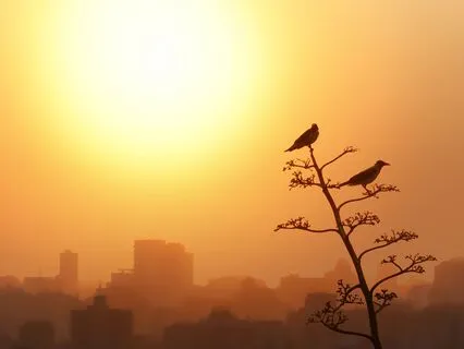 Morning Meditation: Today Is The Best Day Of My Life