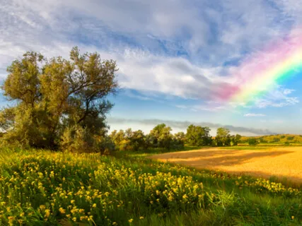 Morning Meditation, Visualization And Setting Up Intentions