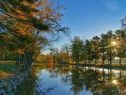 Morning Meditation When Feeling Low (Binaural Beats)