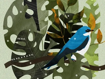 Morning Meditation With Affirmations