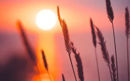 Morning Meditation With Anxiety-Relieving Breathwork