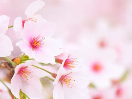 Morning Meditation With Goddess Quan Yin For Peace And Calm