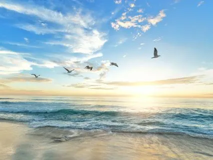 Morning Meditation With Inspiring Quotes | Peace & Purpose