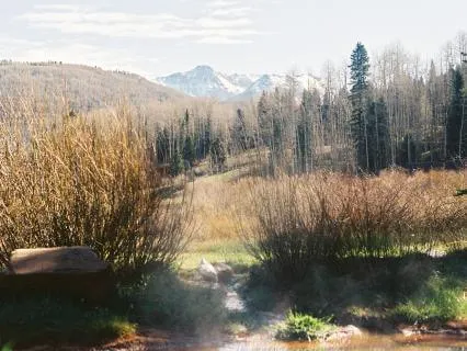 Morning Meditation With Pranayam & Energy Clearing