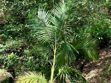 Morning Meditation With Sound Healing Therapy