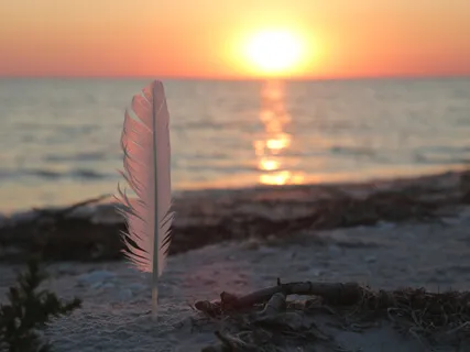 Morning Meditation With The Archangels & The Medicine Wheel