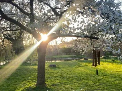 Morning Meditation