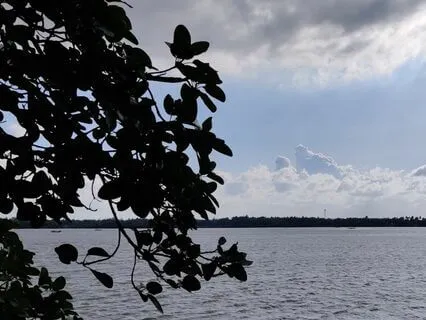 Morning Practice: Embracing The New Day