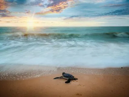 Morning Meditative Bliss