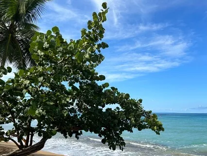 Morning Mindfulness And Gratitude Meditation: Prime Your Day