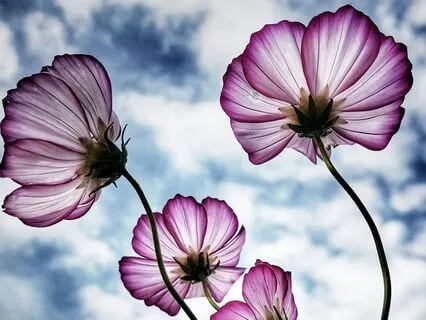 Morning Mindfulness For Creativity - Creative Space