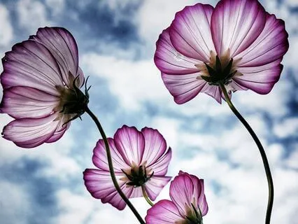 Morning Mindfulness For Creativity - Cultivating Focus