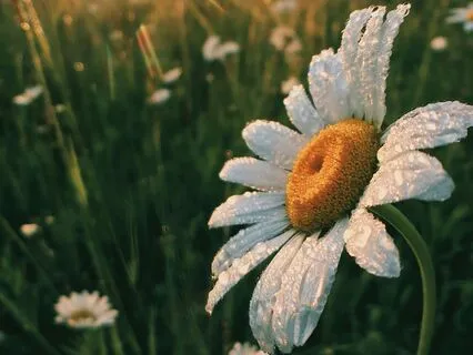 Morning Mindfulness Meditation: Start Your Day With Presence