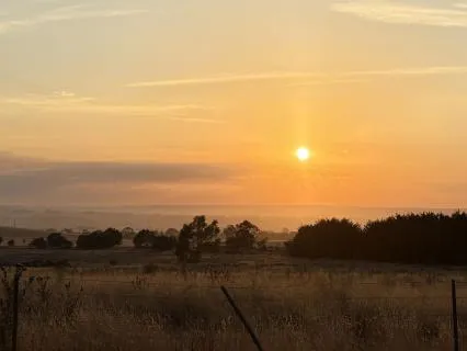 Morning Mindfulness Meditation: Start Your Day With Sunshine