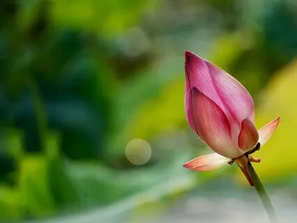 Morning Mindfulness Meditation