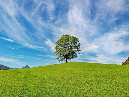 Morning Mindfulness: Win The Morning; Win The Day!