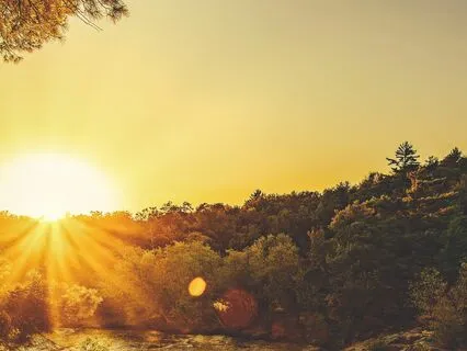 Morning Minis: A Fairy Enchanted Morning!