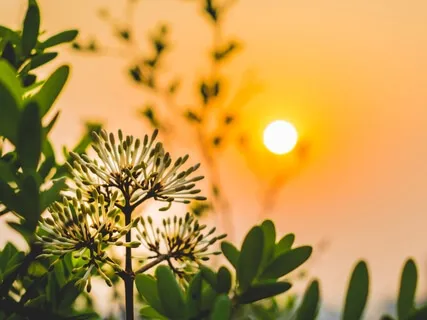 Morning Minis: Letting Go