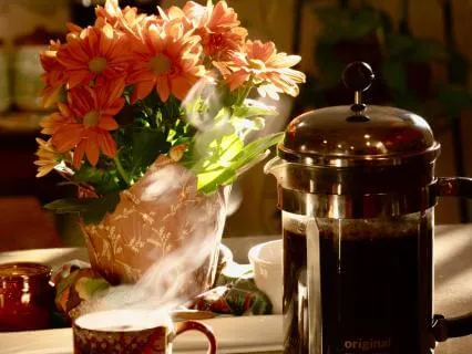 Morning Minis & Minute Movements: Soft Beginnings