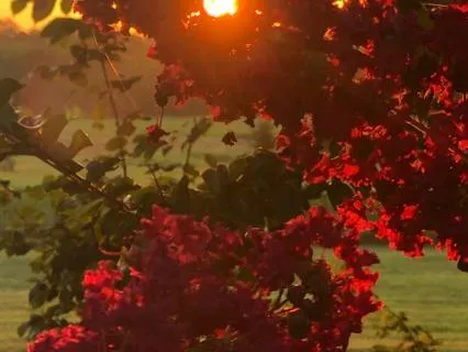 Morning Minute 4: Question Your Beliefs