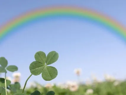 Morning Miracle Minutes Express - Step Into The Rainbow