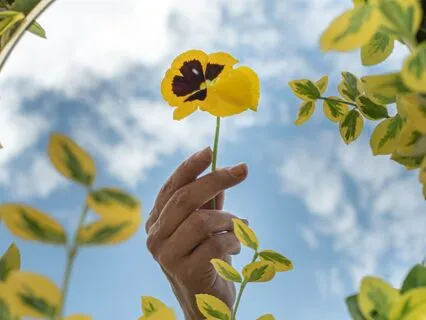 Morning Mirror Work For Abundance: I Am Ready To Receive