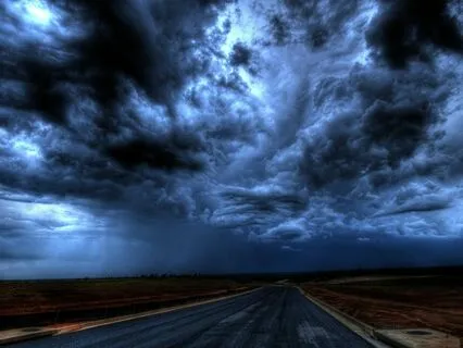 Morning Mist - Mornings' Melody