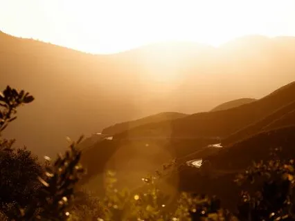 Morning Money Affirmations That Work