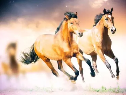 Morning Motivation: Beginning The Day With Willing & Warmth